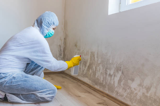Mold inspector in Victoria performing thermal imaging